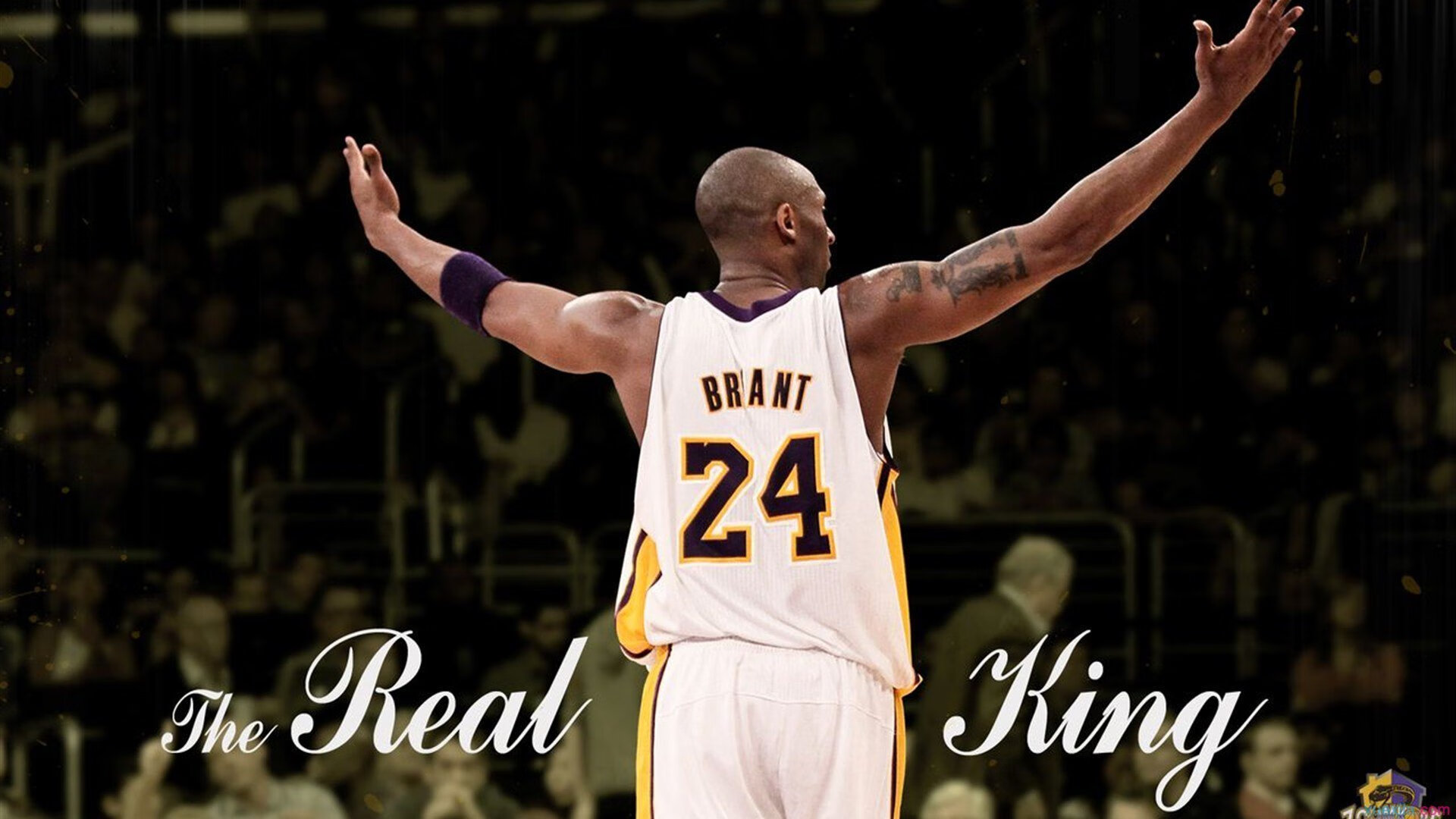 _湖人队新球队章，高效攻防体系建立_，湖人队徽章